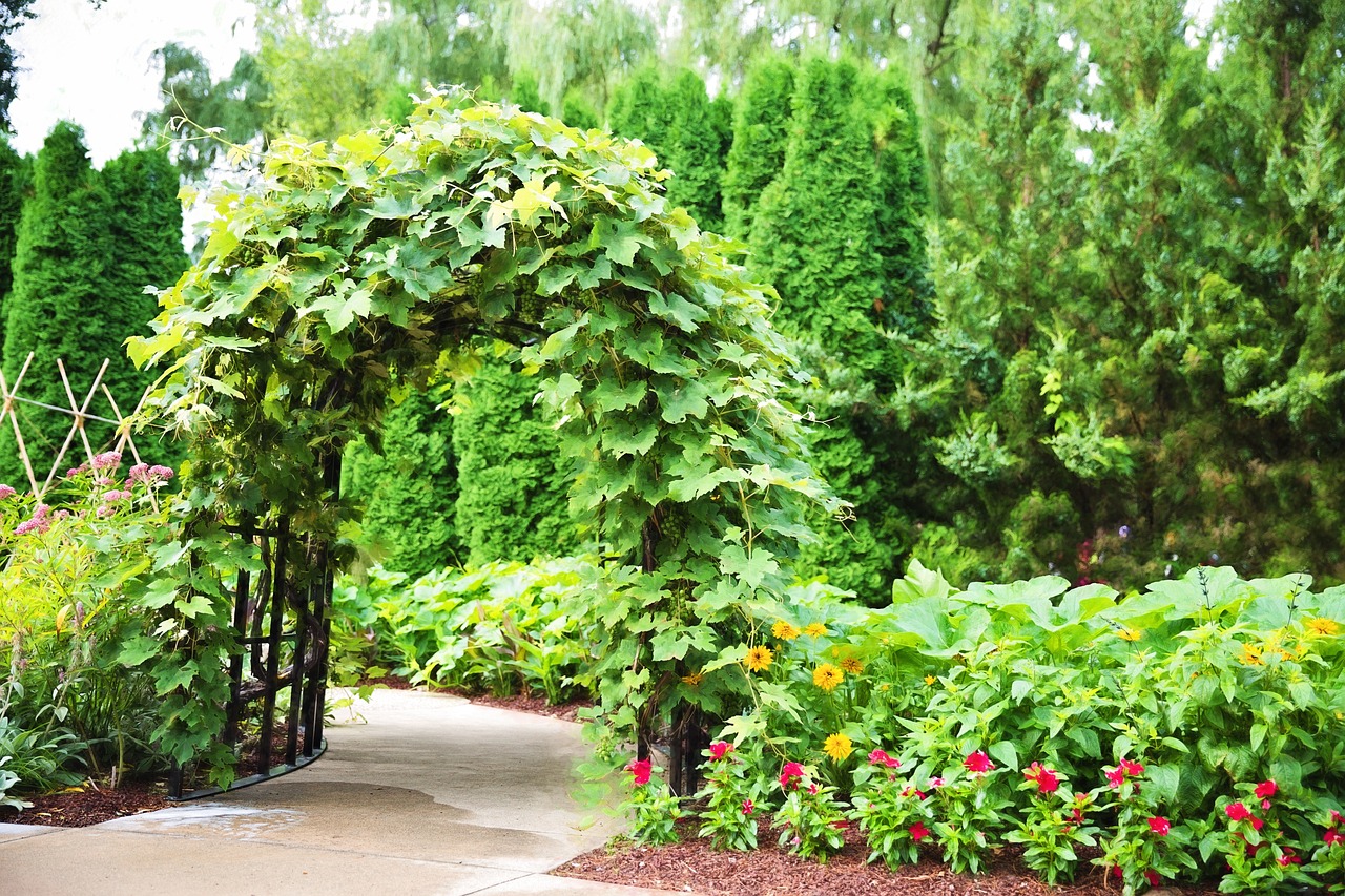 Les principales étapes pour bien installer votre pergola